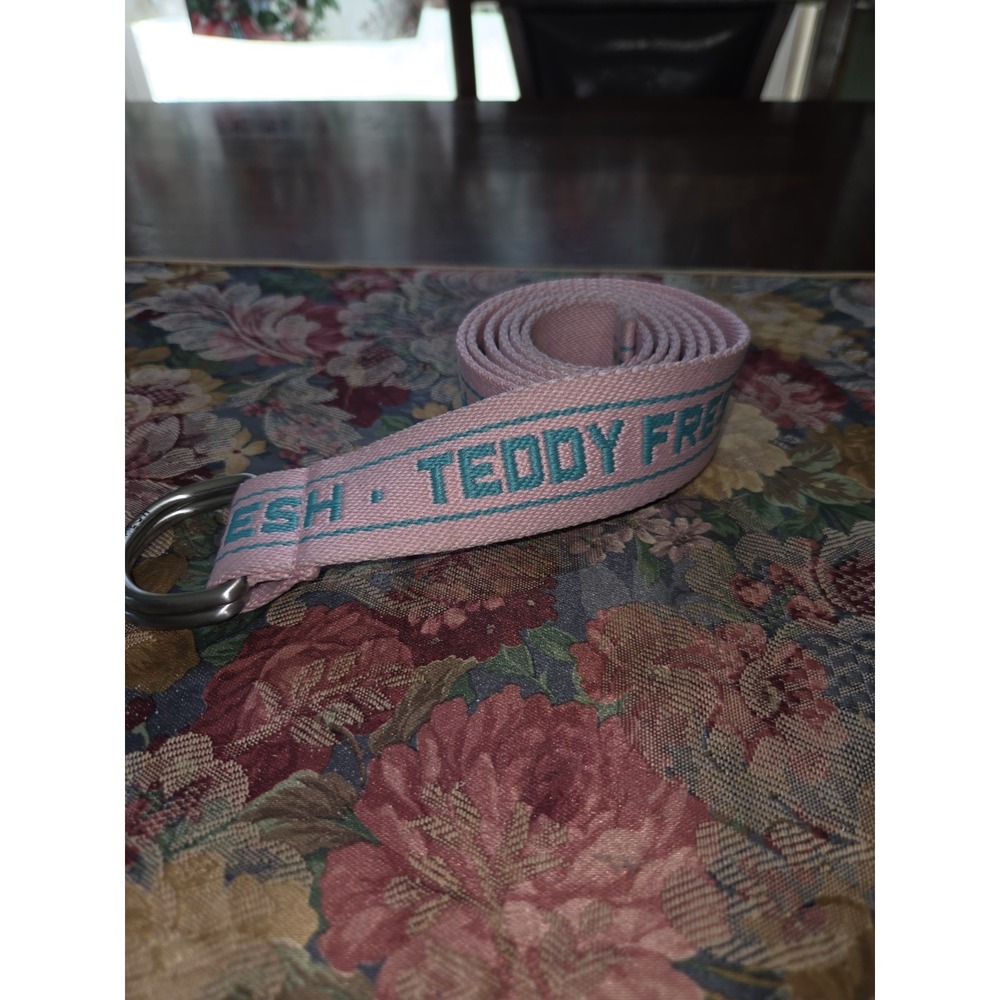 Teddy Fresh D-Ring Webbing Belt Pink Teal Embroidered Logo Streetwear